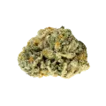 thumb of Romulan Bud