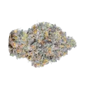 thumb of RS11 Rainbow Sherbert Bud