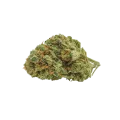 thumb of Bud de Runtz Auto