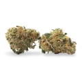 thumb of Sour Tsunami CBD bud