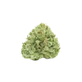 thumb of Bud de Stardawg Auto