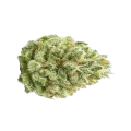 thumb of Super Boof bourgeon autofleurissant