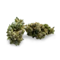 thumb of Super Glue bud