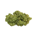 thumb of Bud de Super Silver Haze Auto