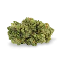 thumb of Super Silver Haze bud