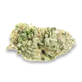 thumb of Sweet Tooth bud