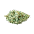 thumb of Tête de cannabis Tetra