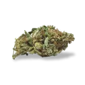 thumb of Trainwreck bud