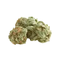 thumb of Bud de White Rhino Auto