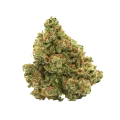 thumb of XJ-13 Bud